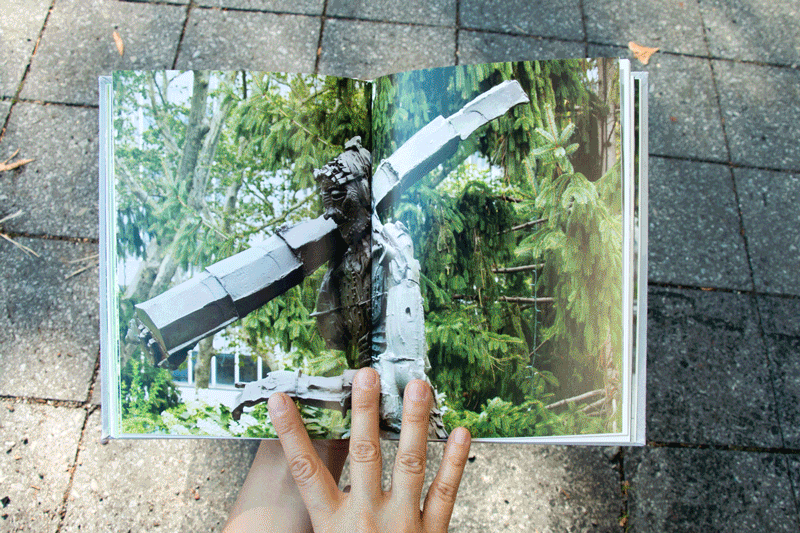 Image of Statuesque book project